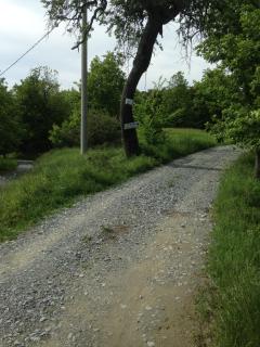 Ca' de l'Ase - Pontinvrea - 1