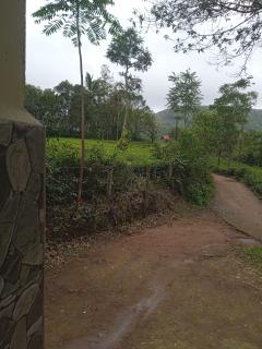 Homestay valakode - 7