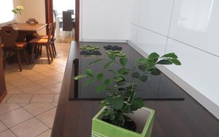 Hisa Lescer - Kobarid - 7
