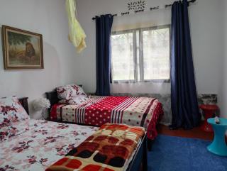 Dans place - Moshi - 4