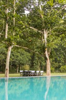 Villa Wild Ceylon by The Serendipity Collection - Puttalam - 8