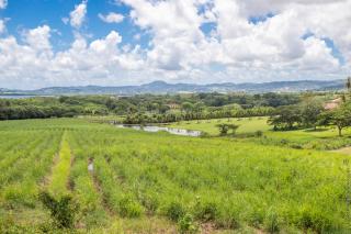 Vert Olivier - Sea View & Serenity - 7