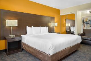Quality Inn & Suites - Bathurst - 3