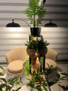 Boho Studio mit Meerblick - 6
