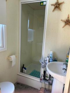 M15 Meadow View Golden palm - Chapel Saint Leonards - 6