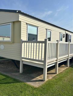 M15 Meadow View Golden palm - 5