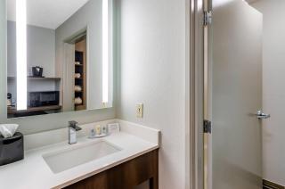 Comfort Inn & Suites Troutville-Roanoke North - 3