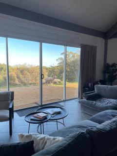 Rural retreat! 5 min to wineries & 10 min to town - Bethany - 7