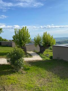 La Collina dei Gelsi - Montecarotto - 7