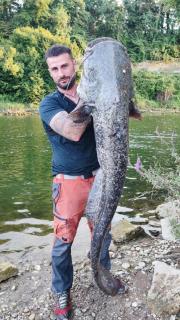 Apartment Stella Danica - 4