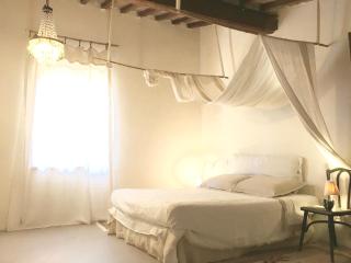 Capannacce Organic and Horse Farm - Rapolano Terme - 3