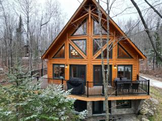 Authentic Log Cabin - Billard Spa - Le Scandinave - Saint-Rémi-dʼAmherst - 0
