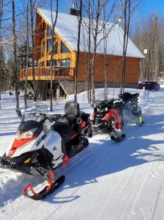 Authentic Log Cabin - Billard Spa - Le Scandinave - Saint-Rémi-dʼAmherst - 5