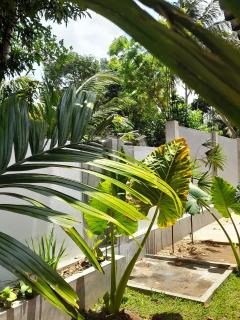 Eco Touch Dickwella - Batigama - 2