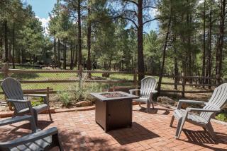 Burning Tree Lodge - Forest Views Fire Pit AC Pet and Family Friendly - 6