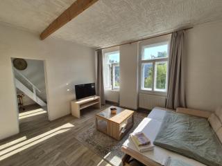 Martini apartment - Karlovy Vary - 8