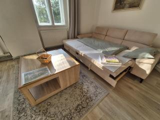 Martini apartment - Karlovy Vary - 4