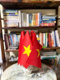Tropical land little Hanoi homestay - Hanoi - 8