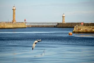 Finest Retreats - Harbour Haven - Whitby - 8