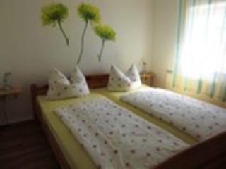 Cosy Apartment in Weißig with Garden - Struppen - 7