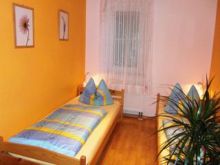 Cosy Apartment in Weißig with Garden - Struppen - 5