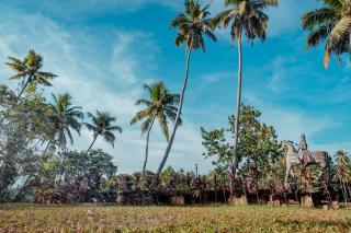 Madilina Cottage - 7