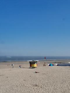 Blankenbeach-50m from beach and Casino - 3