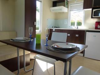 Mobil Home avec Terrasse - 3 couchages à Notre-Dame-de-Monts - API-1-52-605 - 7