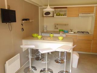 Mobil home 33m², 2 chambres, 6 personnes, Terrasse - API-1-52-474 - Avrillé - 9