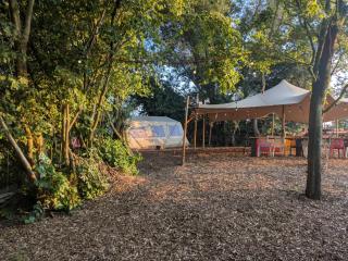 Eco-Camping De Helleborus, Yurt, Bell & Safari tent, Pipo, Caravans, Dorms and Units - 1