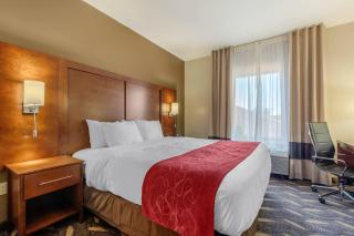 Comfort Suites - Rolla - 6