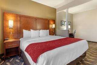 Comfort Suites - Rolla - 3