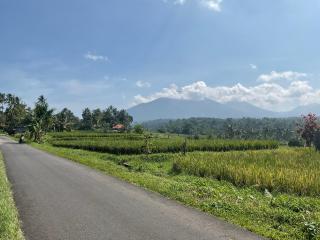 Buana Asti Room and Warung with Rice Field view - 0