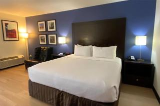 Tryp by Wyndham New Orleans Airport & Conference Center - Kenner - 3