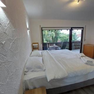 Cozy apartment near the Rhine - Albbruck - 0