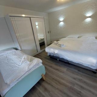 Cozy apartment near the Rhine - Albbruck - 8