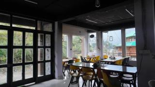 The Conifer Inn - 9