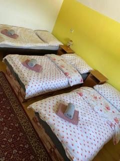 Privat Nika 246 - Liptovský Trnovec - 5