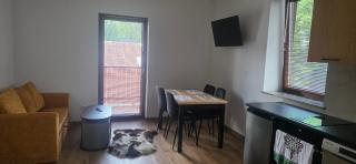 Pokoje Apartamenty Samo Centrum Zakopane ,,Willa Kasztelanka" - Zakopane - 7