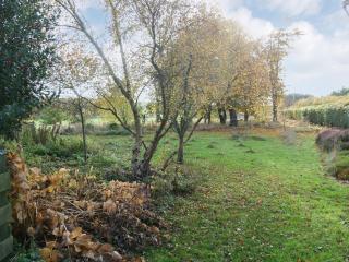 Barn Owl Cabin - Uk45401 - Forfar - 1
