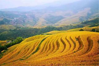 Bishui Jin Guesthouse (Longsheng Longji Rice Terraces Store) - 9