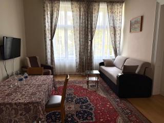 Salve Teplice - Teplice - 8