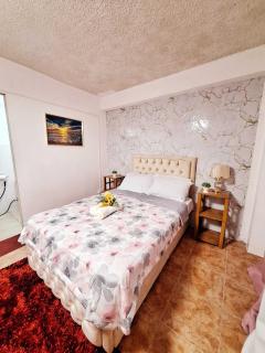 L4 Spacious Studio Apartment Near Airport, SM Lanang, SPMC & Ferry Wharf - Davao City - 5