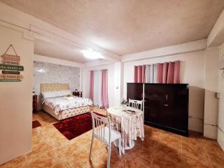 L4 Spacious Studio Apartment Near Airport, SM Lanang, SPMC & Ferry Wharf - Davao City - 4