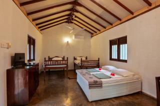 WildEscape, Yala Blocks 3 & 5 - Buttala - 2