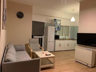 1bedroom 300 meter Dafni metro - 6