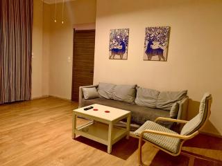 1bedroom 300 meter Dafni metro - 3