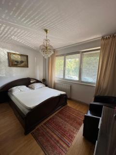 2 bedrooms apart in Cismigiu area - the real center of the city - 6