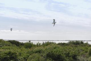 Surfbude 02 - 5