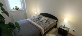 Apartmán Rusňa - Jáchymov - 3